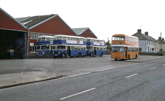 Taff-Ely 8 (UTG 313G) and others Cardiff Sloper Road depot Peter Smith