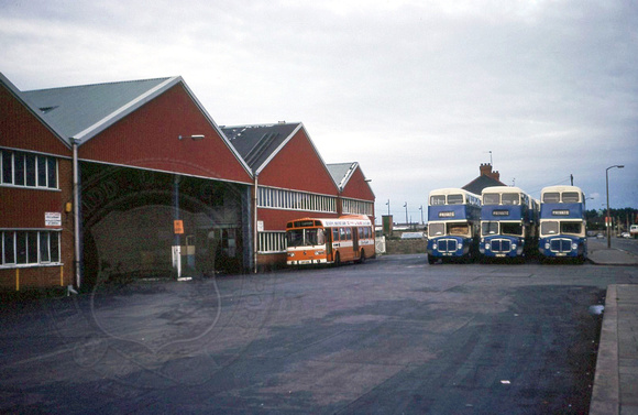 Taff-Ely 5 (NNY 762E) and others (distant) Cardiff Sloper Road depot Peter Smith