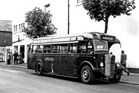 Postwar AEC Regal buses (54-65, 92-97, 301-314)