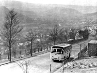 Leyland Royal Tiger coaches (327-329)