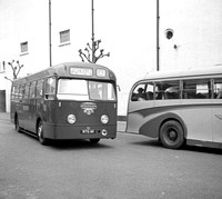 1950s Tiger Cub buses (330-356, 363-377)
