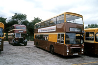 Buses before Rhondda