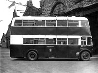 Trolleybuses bought but not used