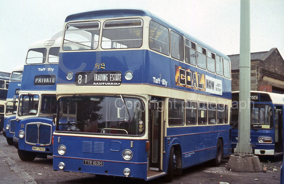 Taff-Ely 82 (TTR 163H) Glyntaff depot John Kaye (John Boylett) G7015