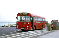 Leyland Leopard bus and dual-purpose