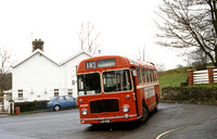 JLJ26866