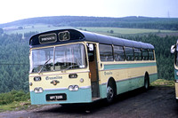 JLJ3705