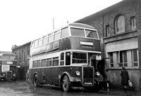 Leyland Titan PD2s from Barrow