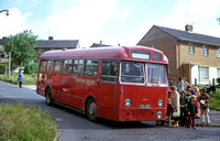 1950s Tiger Cub buses (330-356, 363-377)
