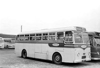 Leyland Tiger Cub coaches (357-362)