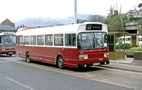 JLJ47572