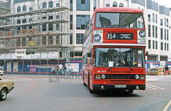 11986