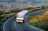 Red & White (Western Travel)/Stagecoach Red & White