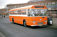 JLJ7274
