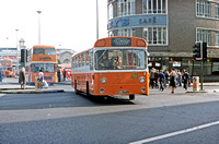 JLJ9419