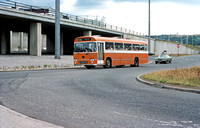 JLJ9444
