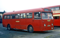 AMXTG374o