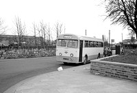 Leyland Royal Tiger buses (315-326)