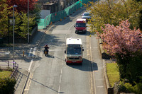New buses